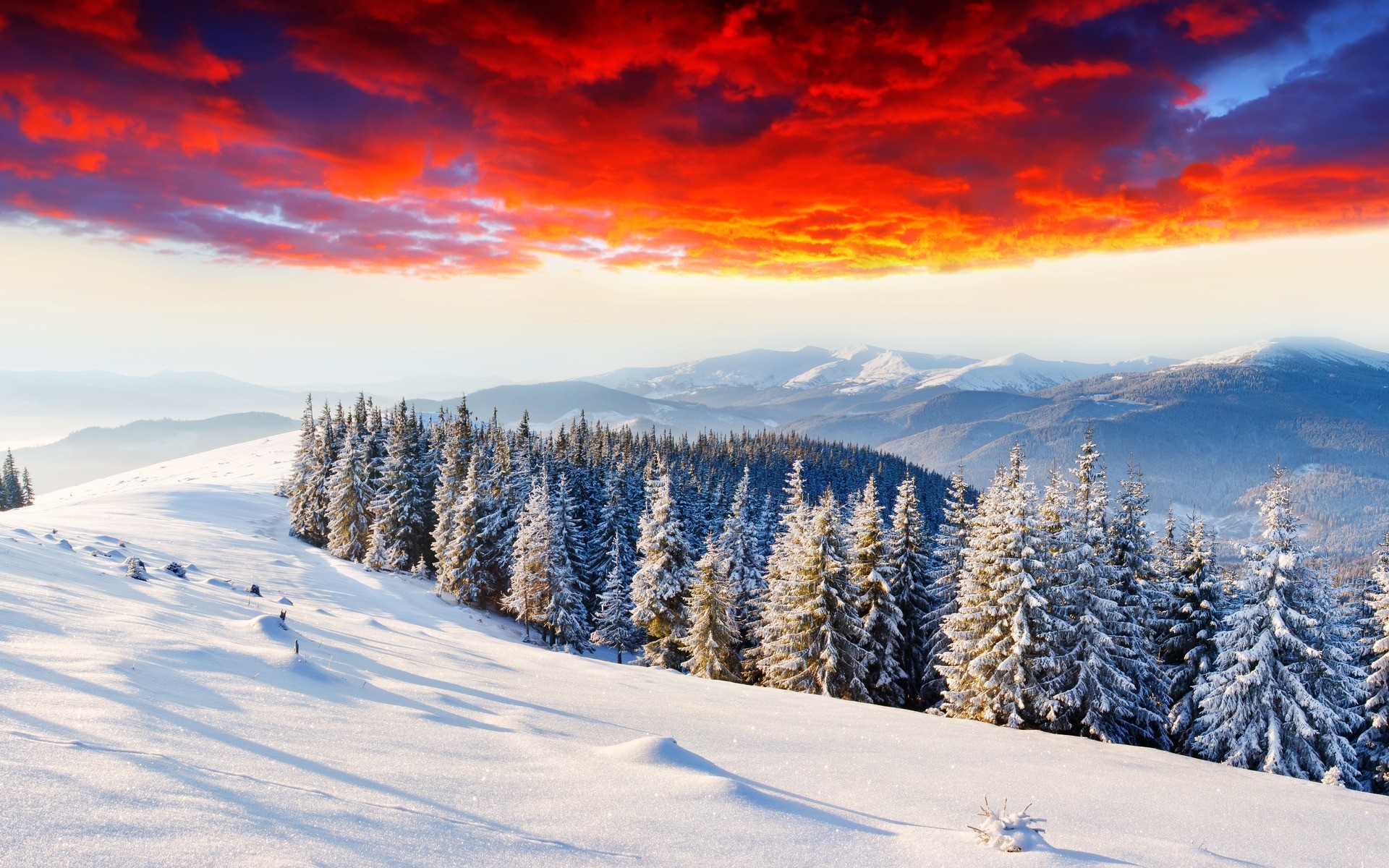 1920 x 1080 HD Wallpapers 2041